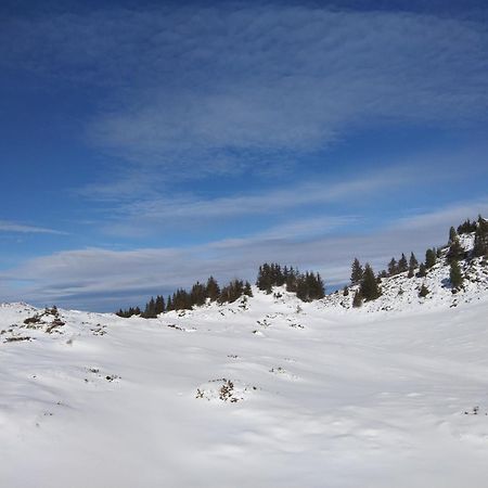 Le Chalet Theys Buitenkant foto