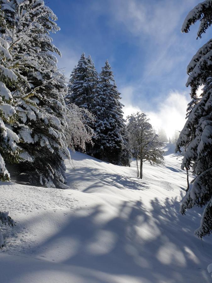 Le Chalet Theys Buitenkant foto